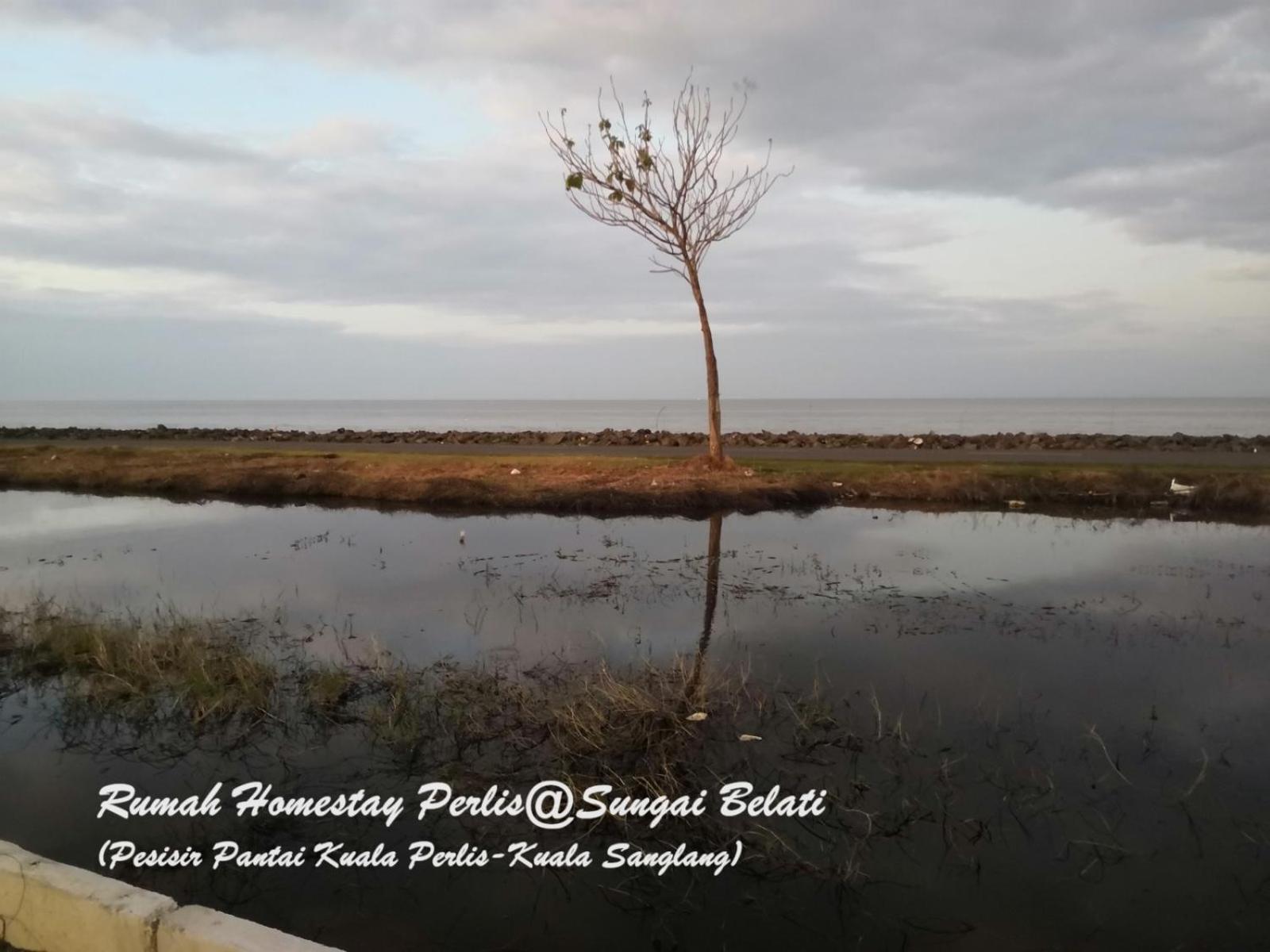 Rhumah Sungai Belati Villa Simpang Empat  Buitenkant foto