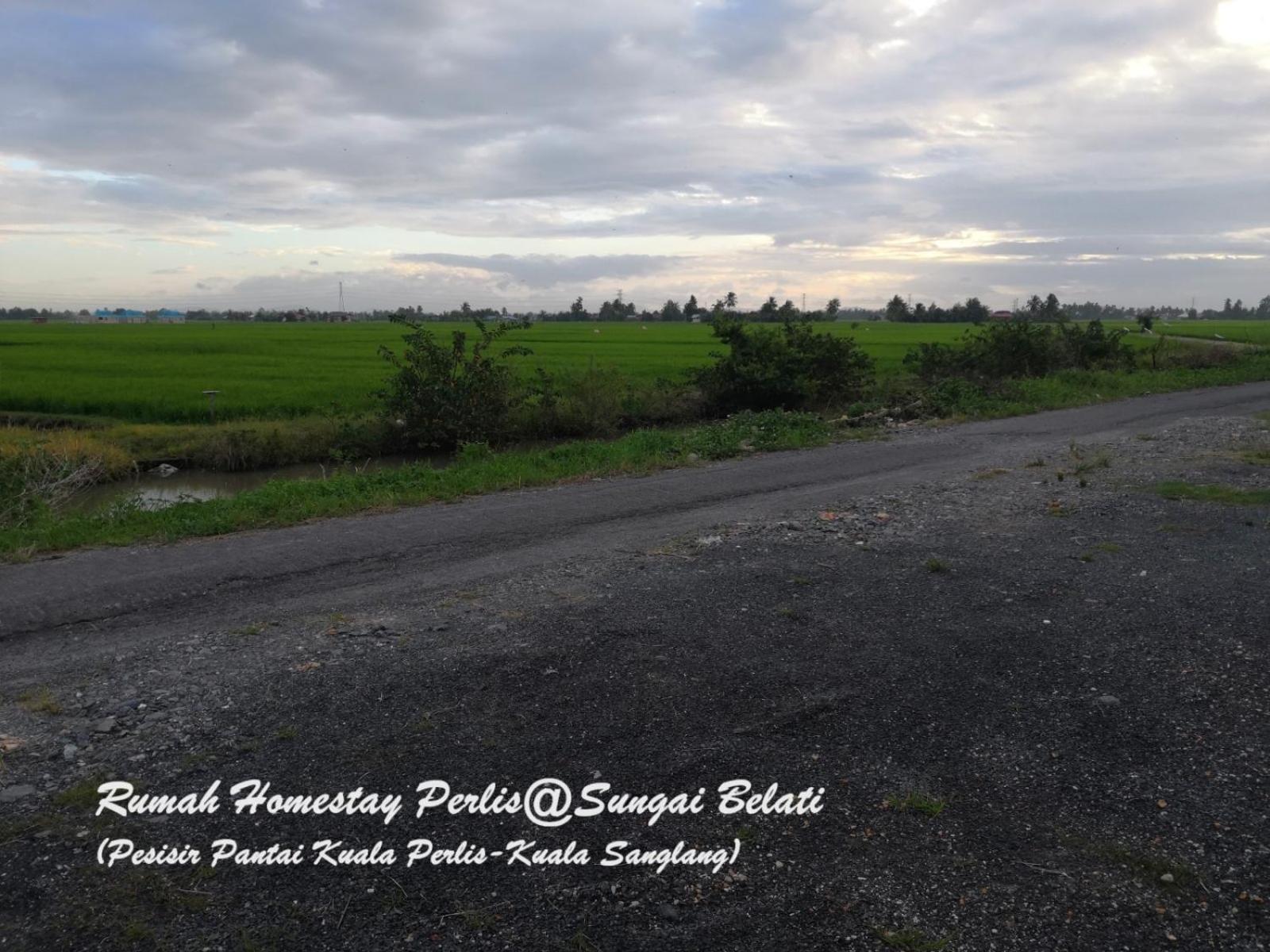 Rhumah Sungai Belati Villa Simpang Empat  Buitenkant foto